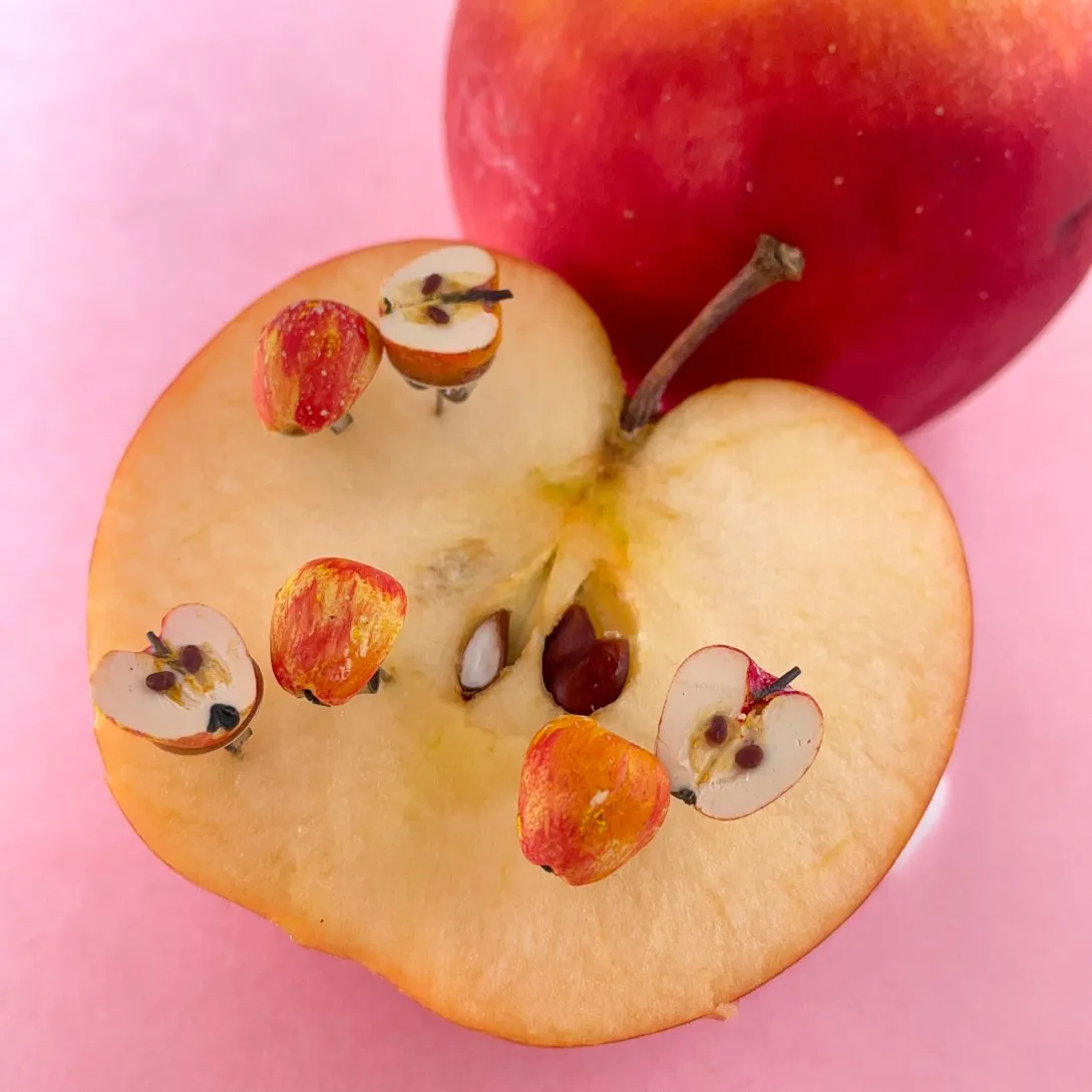 Apple Fruit Halves Miniature Ear Studs