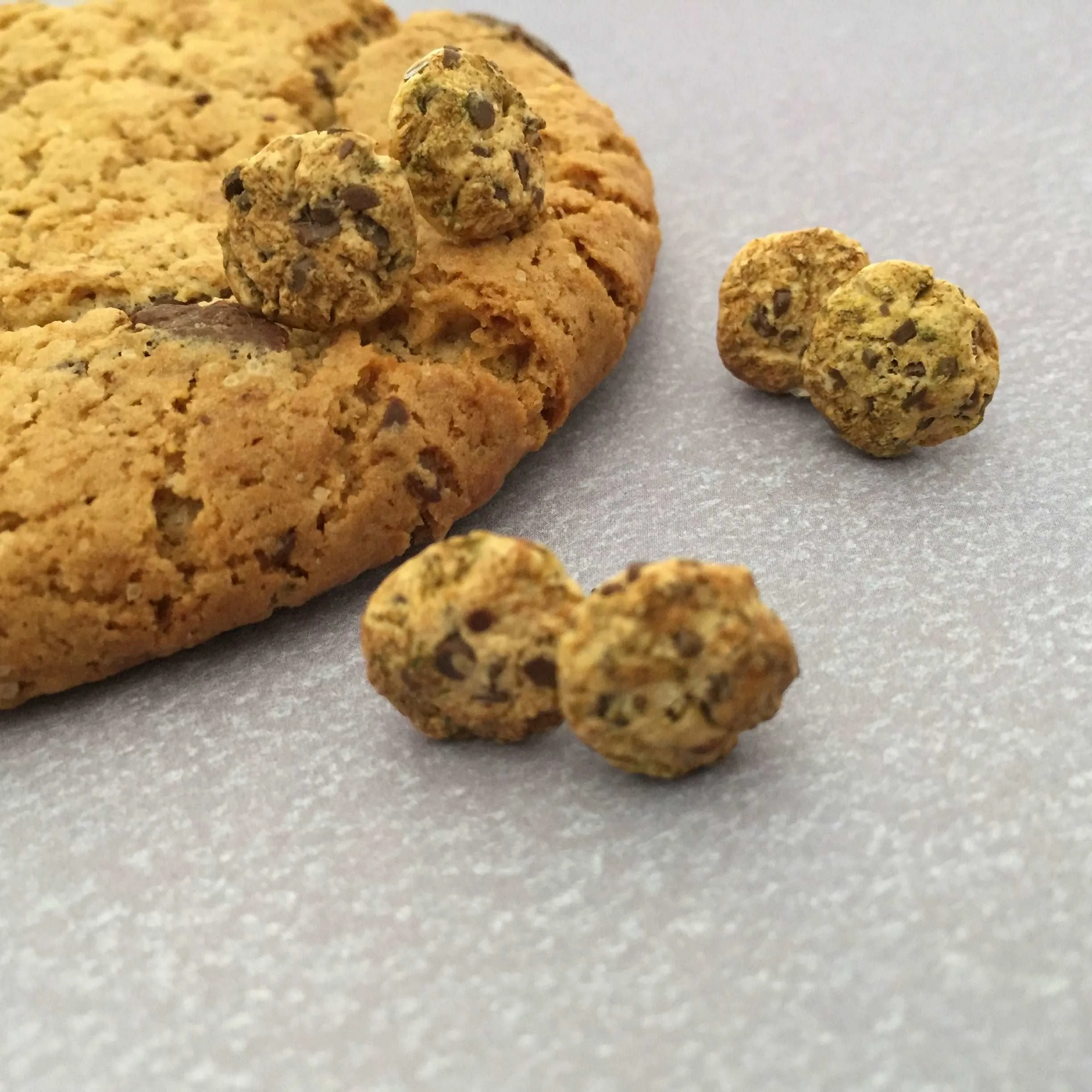 Chocolate Chip Cookies Food Ear Studs