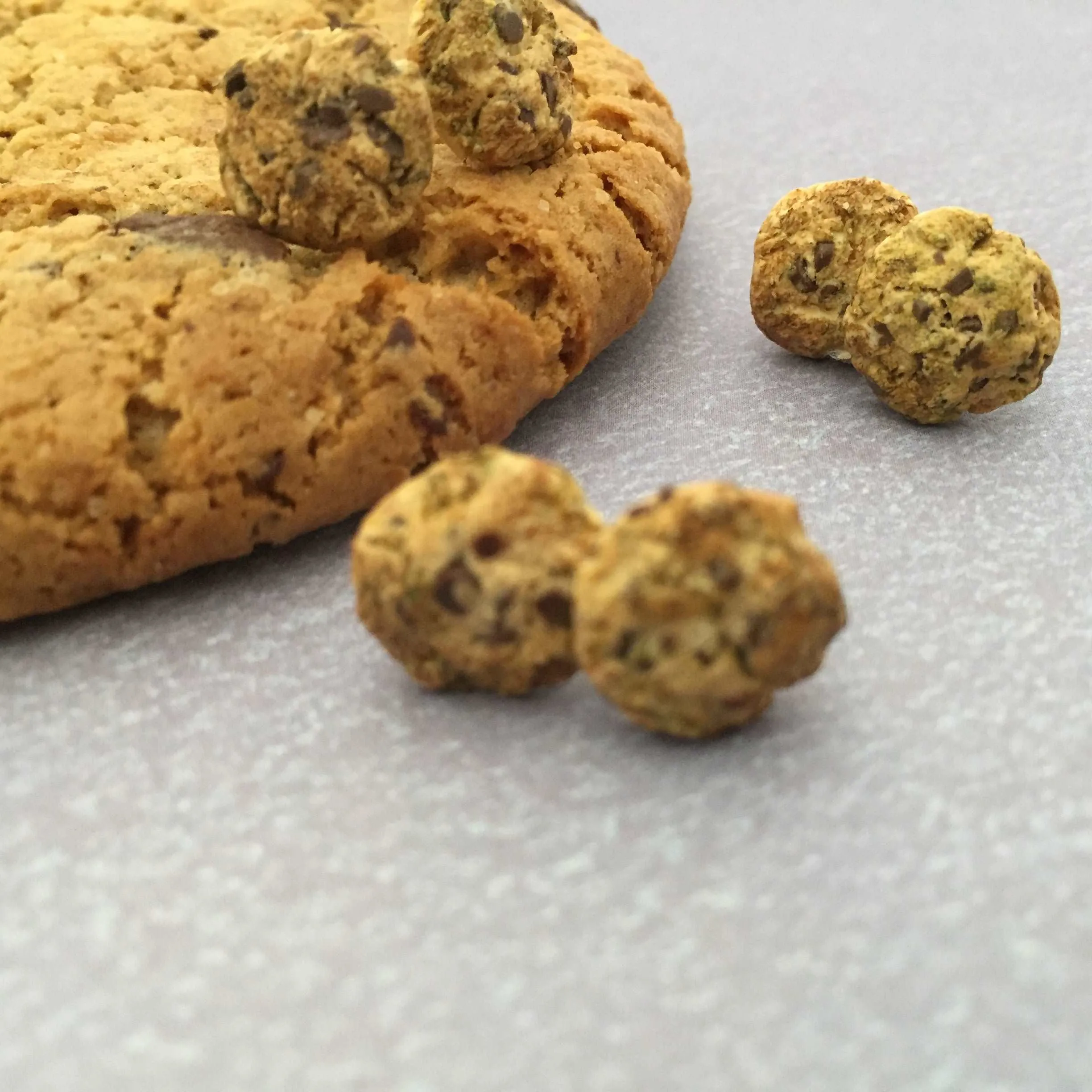 Chocolate Chip Cookies Food Ear Studs