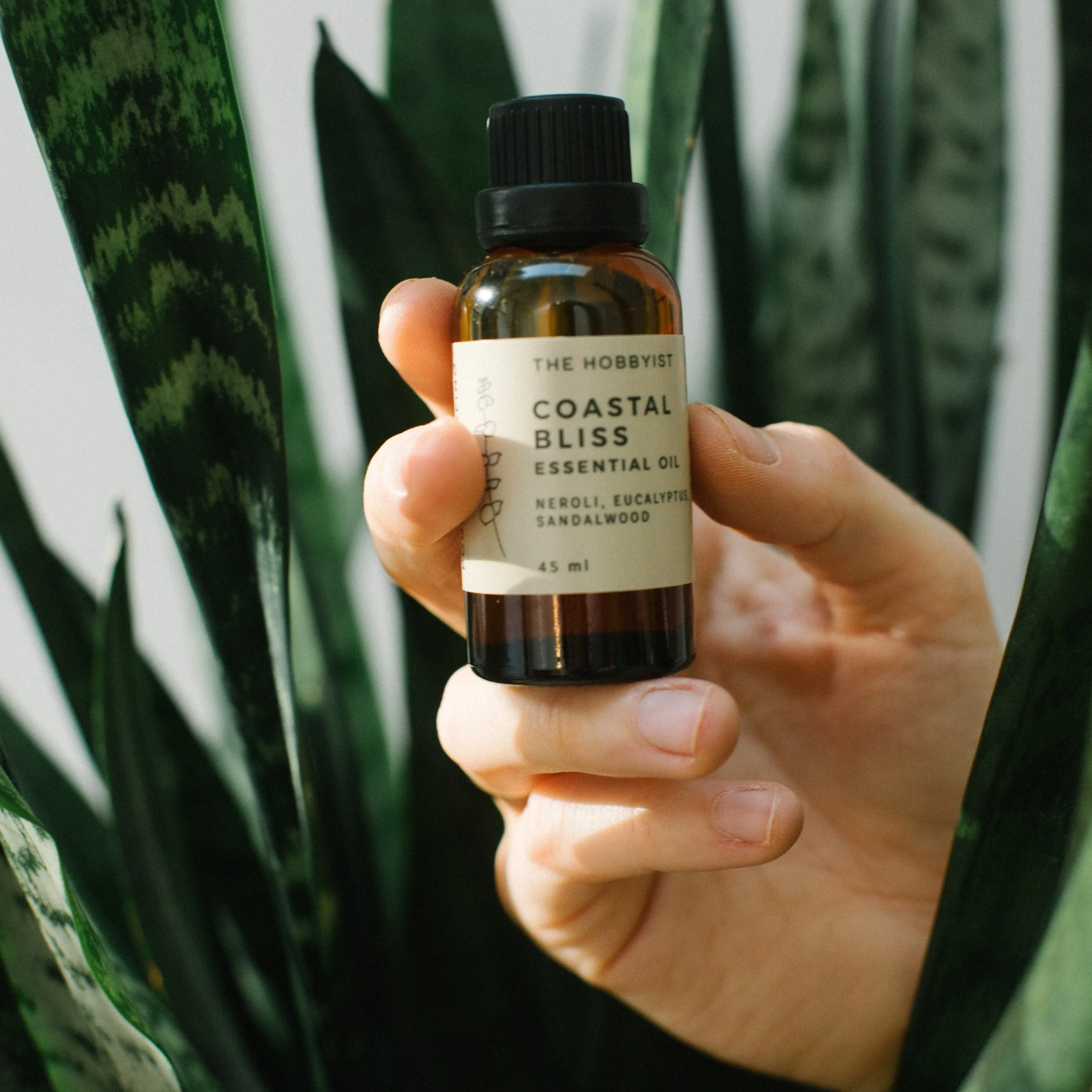Coastal Bliss | Essential Oil