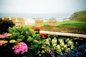Serene Coastal Bliss: Gardens of Color and Ocean's Embrace