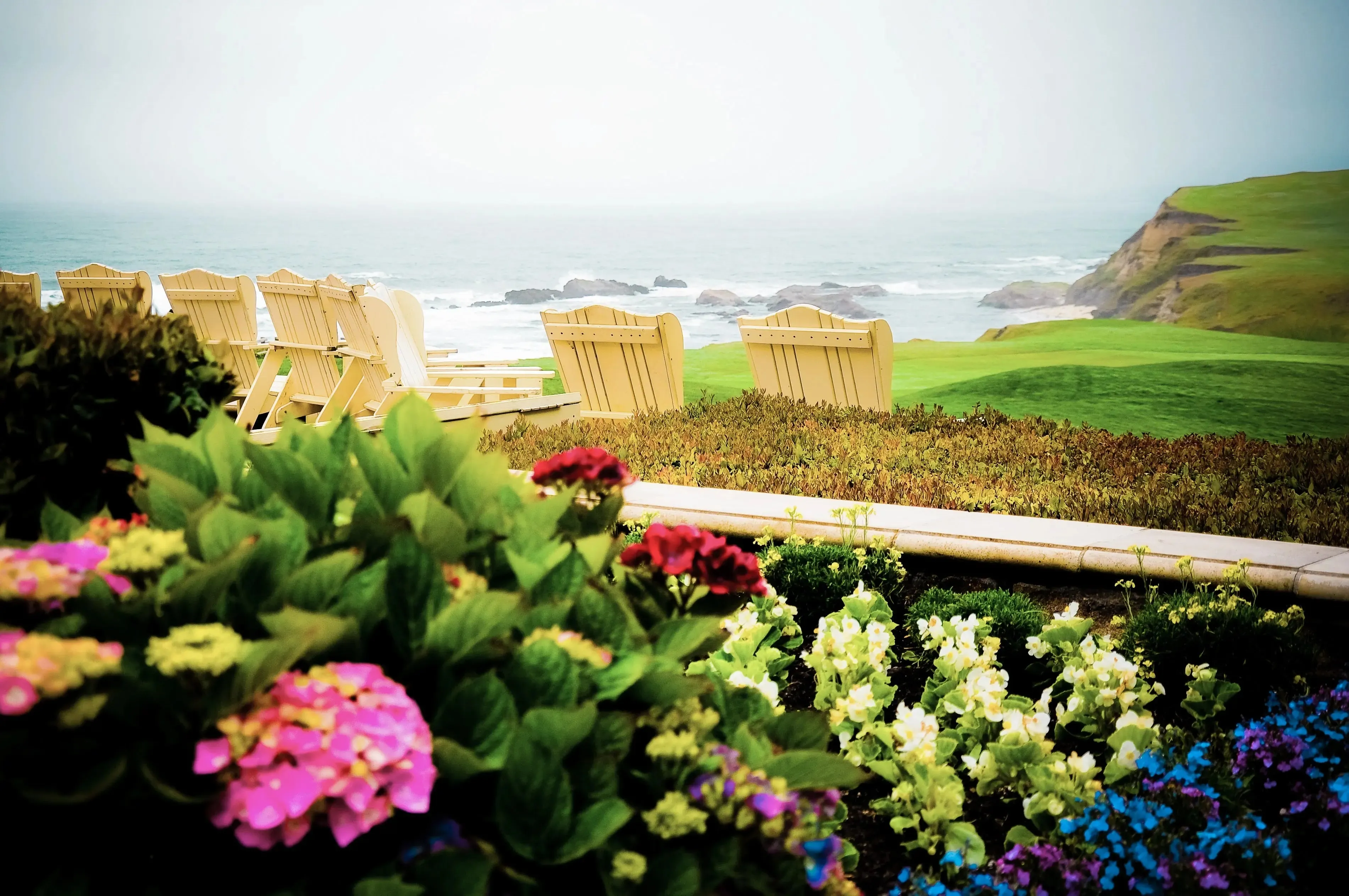 Serene Coastal Bliss: Gardens of Color and Ocean's Embrace