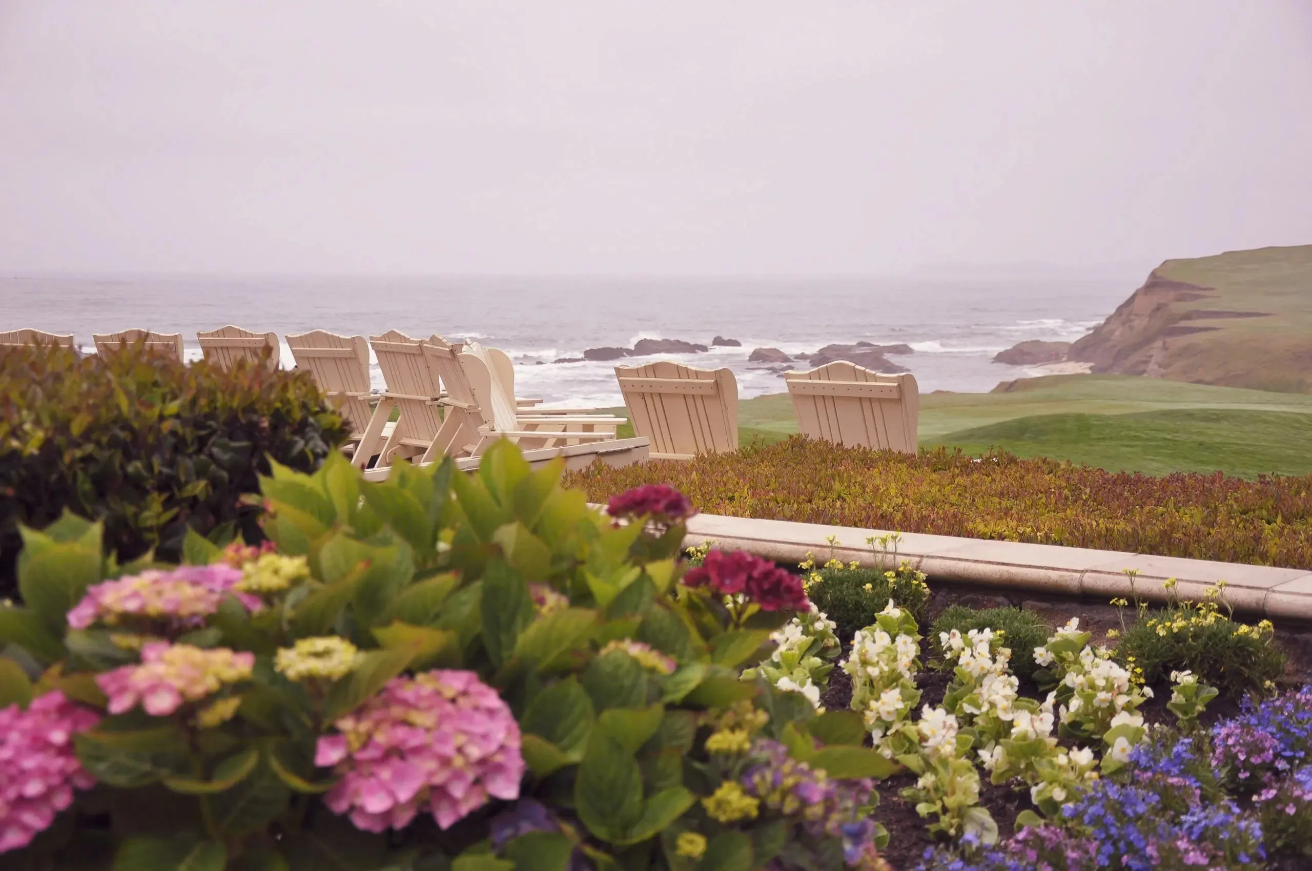 Serene Coastal Bliss: Gardens of Color and Ocean's Embrace
